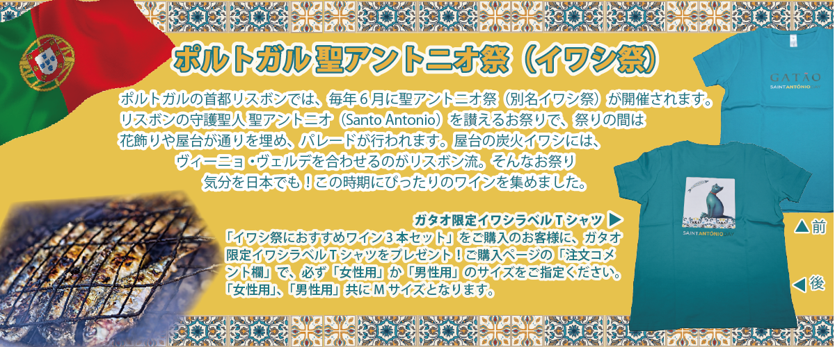 イワシ祭