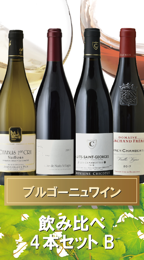 セール新品 フランス・ブルゴーニュ・コート・ド・ニュイ飲み比べ