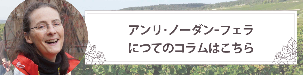 アンリ・ノーダン-フェラン